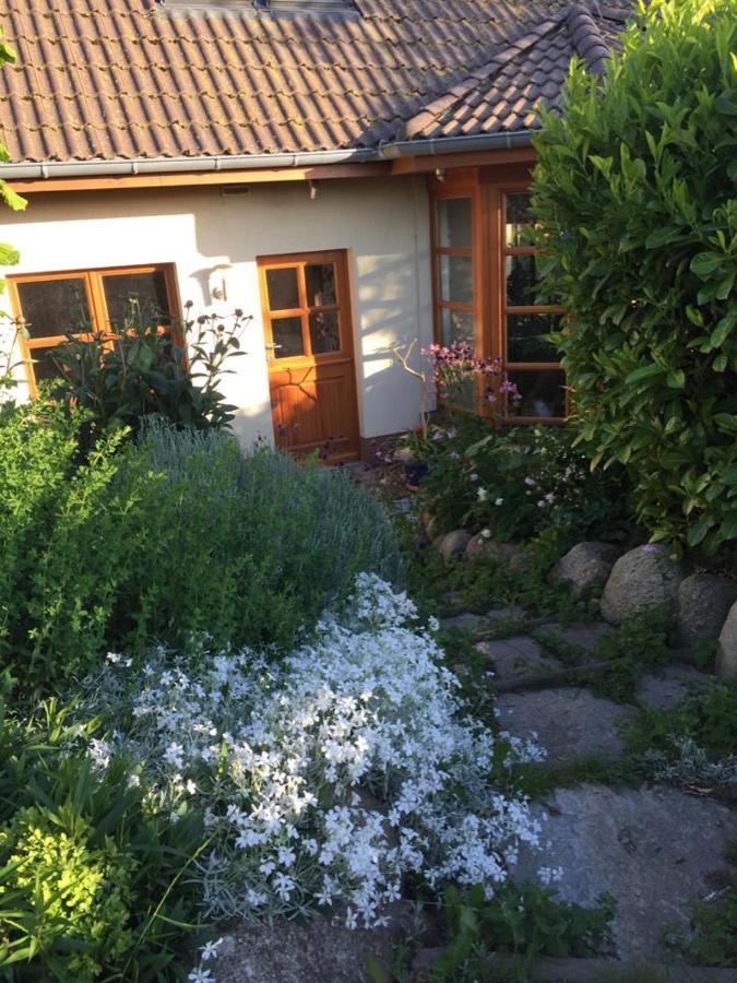 Ferienwohnung Stockrose 미델하겐 외부 사진
